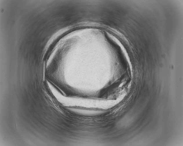 X0000085781223200704131820