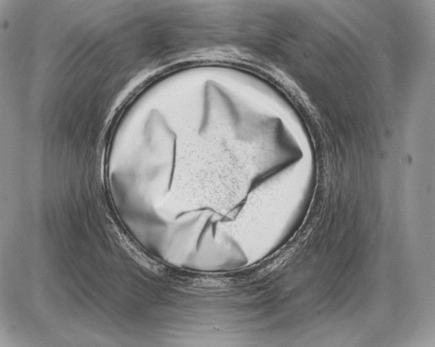 X0000085781224200704131820