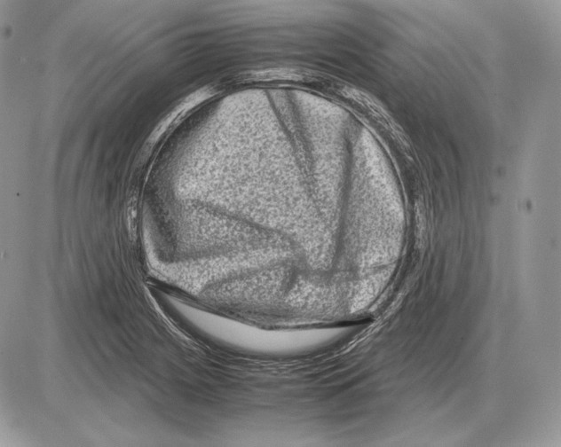 X0000085781225200704131820