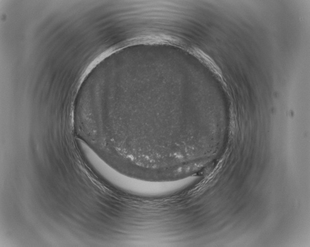 X0000085781226200704131820