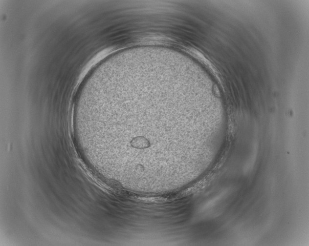 X0000085781227200704131820