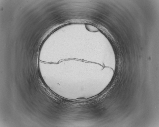 X0000085781228200704131820