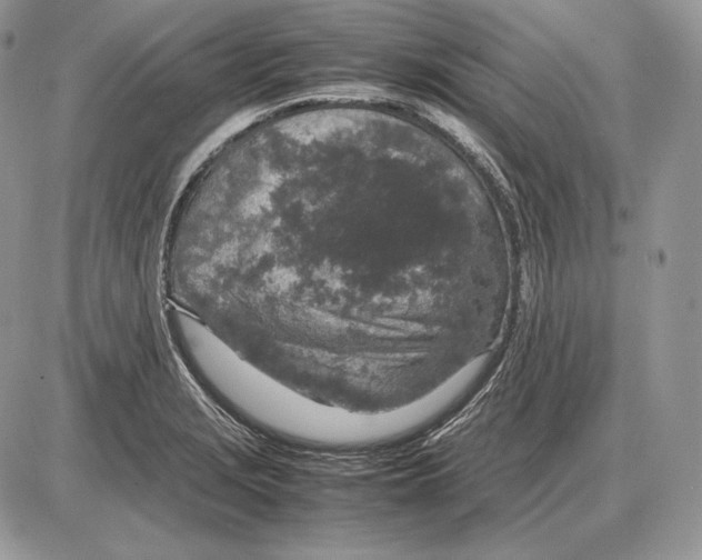 X0000085781229200704131820