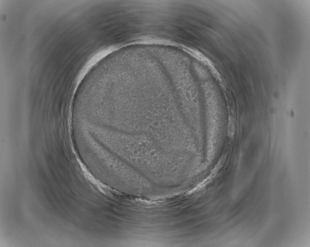 X0000085781231200704131820