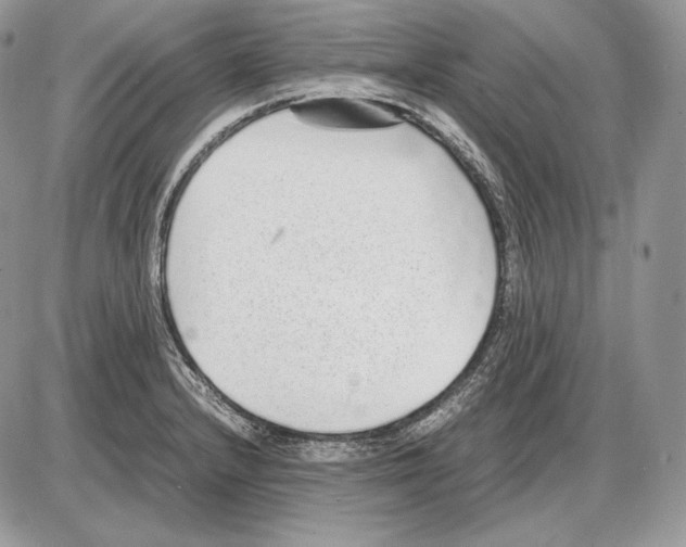 X0000085781232200704131820