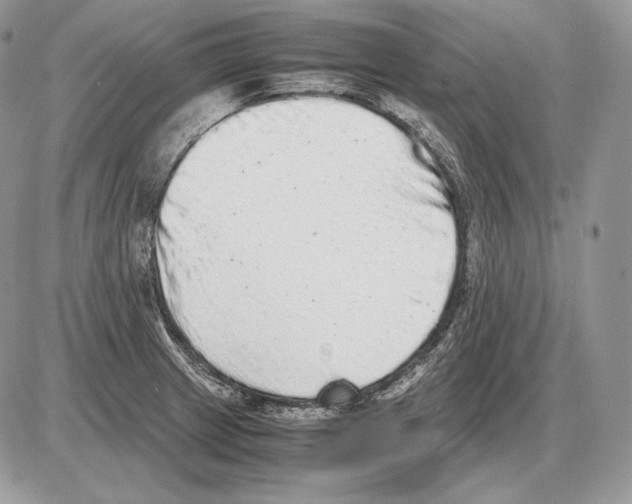 X0000085781233200704131820