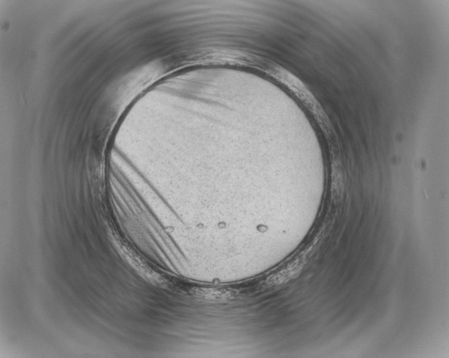 X0000085781234200704131821