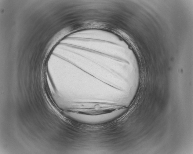 X0000085781235200704131821