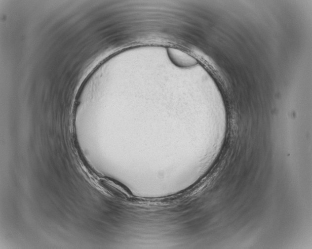 X0000085781236200704131821