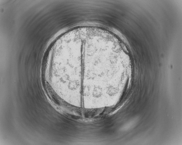 X0000085781237200704131821