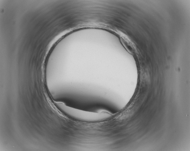 X0000085781238200704131821