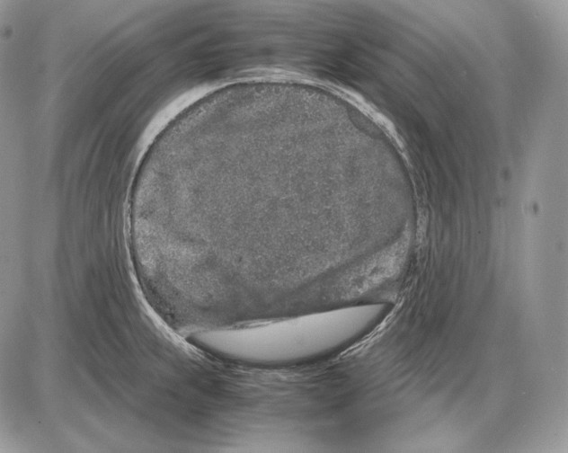 X0000085781239200704131821