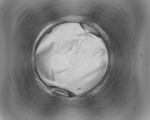 X0000085781240200704131821