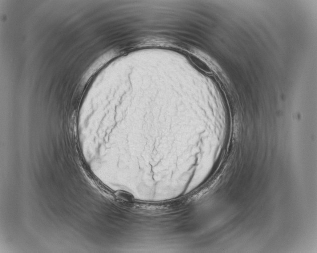 X0000085781241200704131821