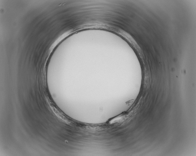 X0000085781242200704131821