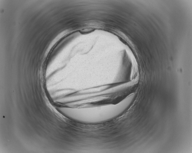 X0000085781243200704131821