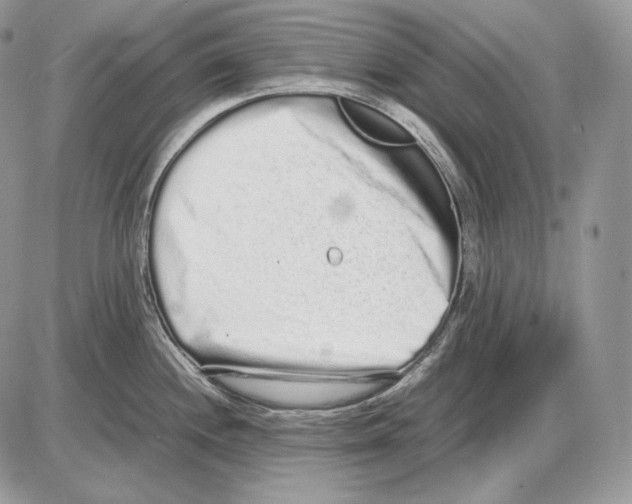 X0000085781244200704131821