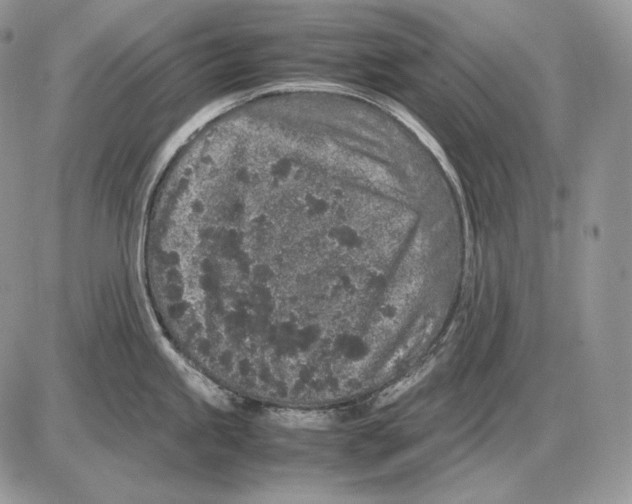 X0000085781245200704131821