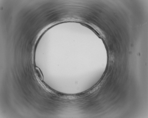 X0000085781246200704131821