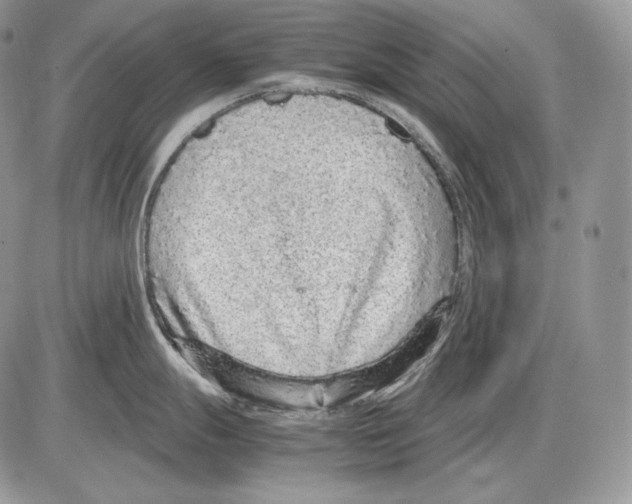 X0000085781247200704131821