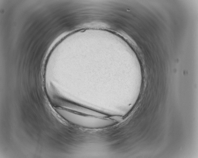 X0000085781248200704131821