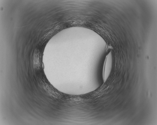 X0000085781250200704131820