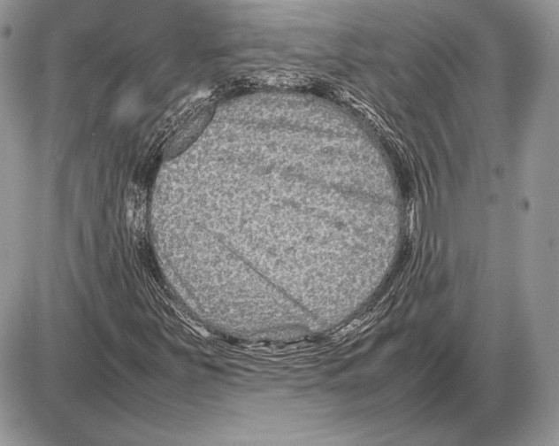 X0000085781251200704131820