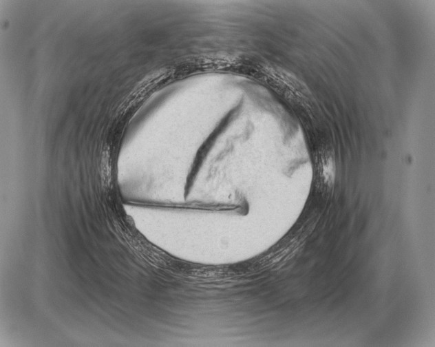 X0000085781252200704131820