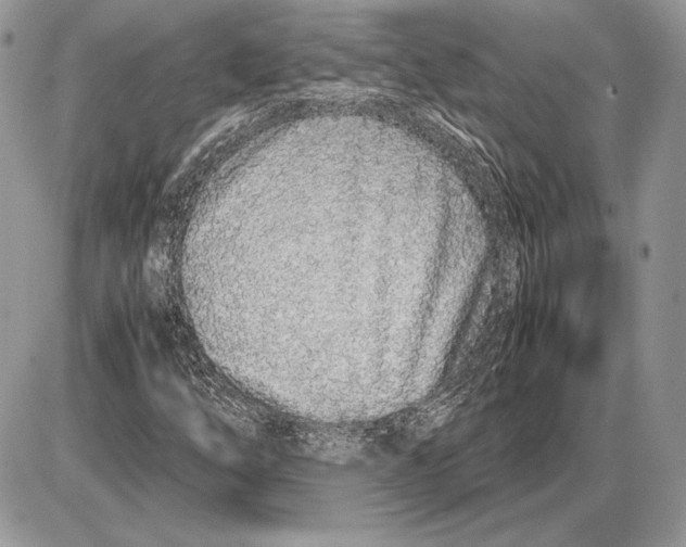 X0000085781254200704131820