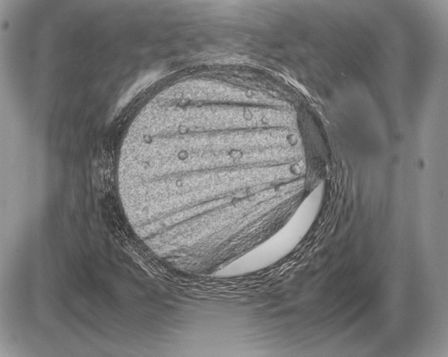 X0000085781255200704131820