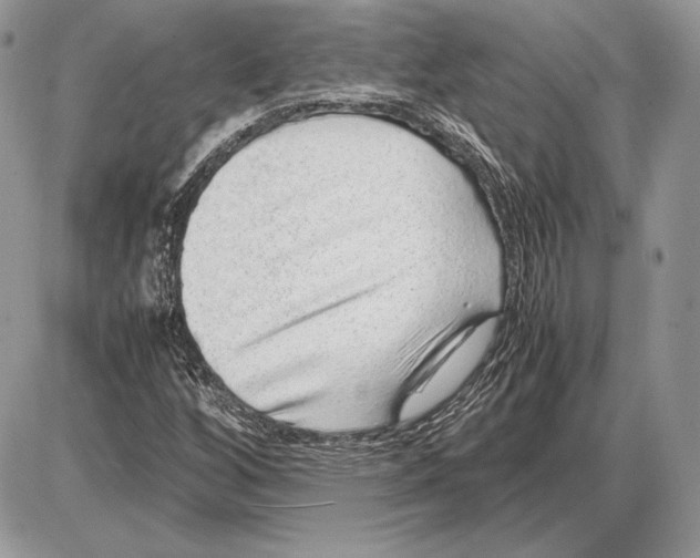 X0000085781256200704131820