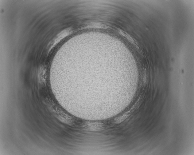 X0000085781258200704131820