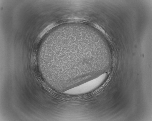 X0000085781259200704131820