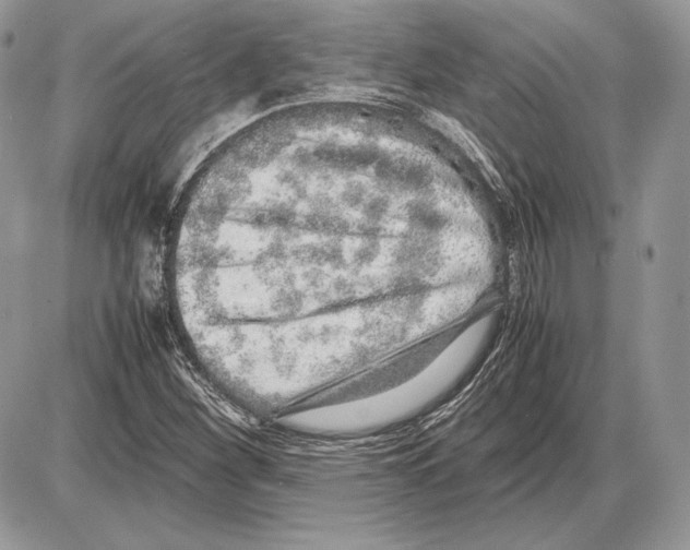 X0000085781260200704131820