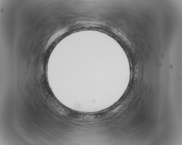 X0000085781261200704131820