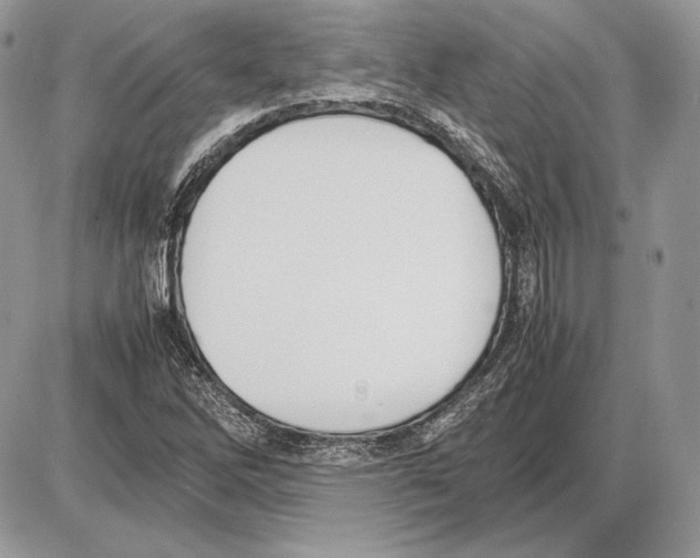 X0000085781262200704131820