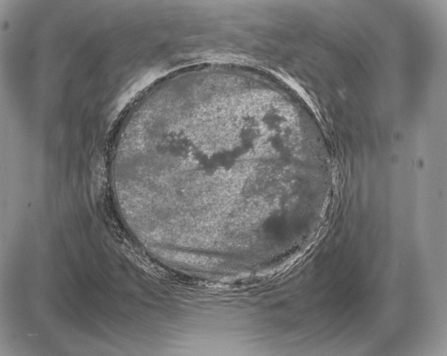 X0000085781263200704131820