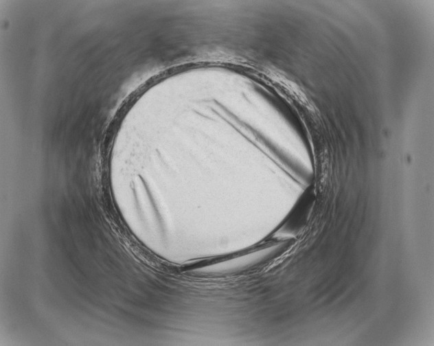 X0000085781264200704131820