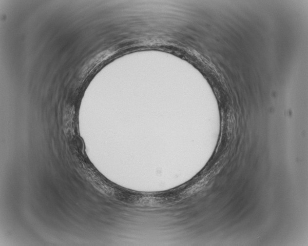 X0000085781265200704131820