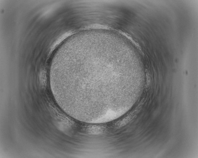 X0000085781266200704131820