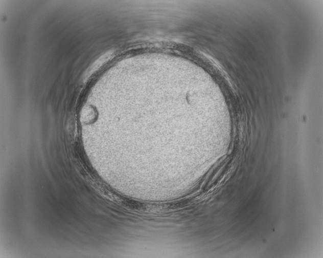 X0000085781267200704131820