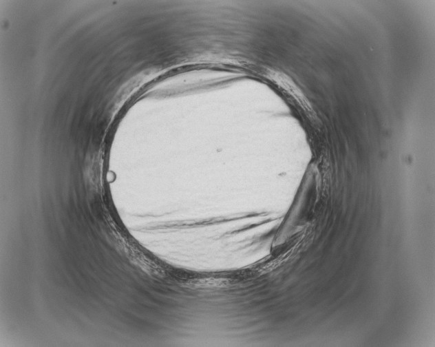 X0000085781268200704131820