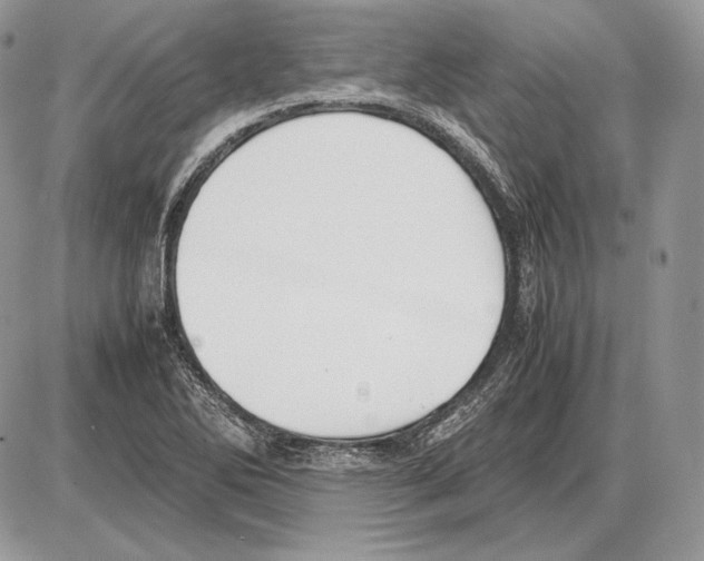 X0000085781270200704131820