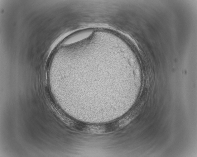 X0000085781271200704131820