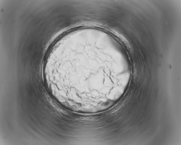 X0000085781272200704131820