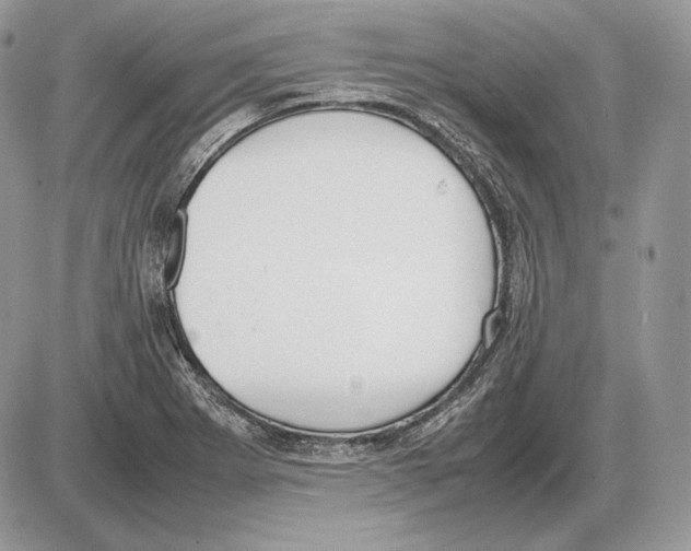 X0000085781273200704131820