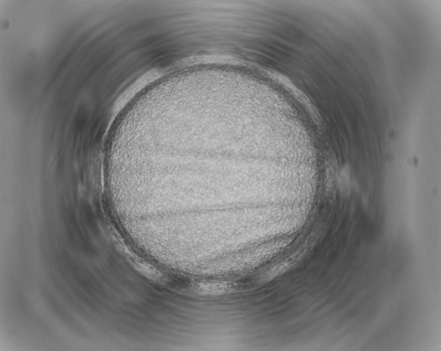 X0000085781274200704131820