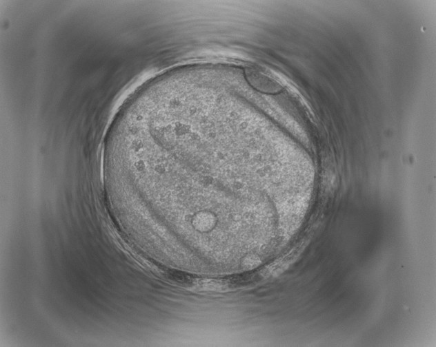 X0000085781275200704131820