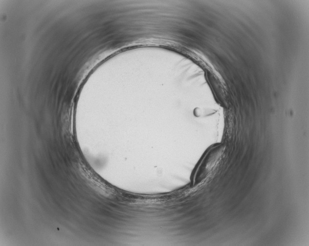 X0000085781276200704131819