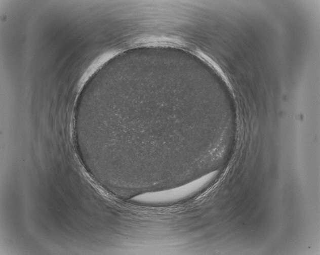 X0000085781277200704131819